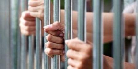 المشدد 6 سنوات وغرامة 50 ألف جنيه لعامل بتهمة الاتجار في المخدرات بالقليوبية - تكنو بلس