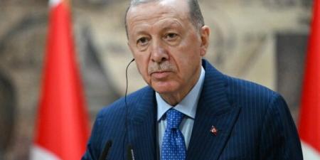 "الأناضول": أردوغان شارك في اجتماع عبر تقنية الفيديو مع ترامب وبن سلمان والشرع - تكنو بلس