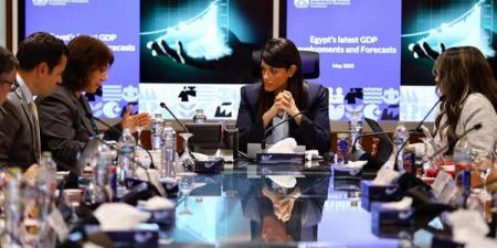 «المشاط»: تنفيذ صارم لحوكمة الاستثمارات العامة - تكنو بلس