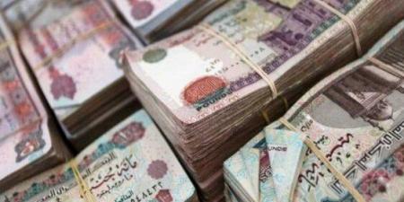 موعد صرف مرتبات شهر يونيو 2025 وتطبيق الزيادة الجديدة - تكنو بلس