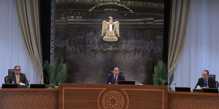 مجلس الوزراء يوافق على طلب لمحافظة الجيزة - تكنو بلس