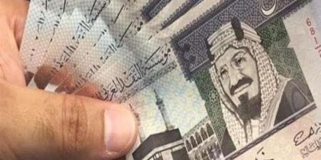 مع اقتراب موسم الحج.. سعر الريال السعودي مقابل الجنيه المصري اليوم الخميس 15 مايو 2025 - تكنو بلس