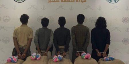 ضبط 5 أشخاص لتهريبهم كمية من نبات القات المخدر بمنطقة عسير - تكنو بلس