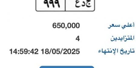 بوابة مرور مصر الإلكترونية تطرح لوحة سيارة بسعر 650 ألف جنيه - تكنو بلس