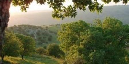 الارصاد: تراجع تأثير الكتلة الحارة وأجواء معتدلة تدريجياً خلال الأيام القادمة - تكنو بلس