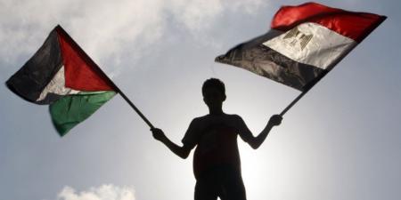 مصر كانت وستظل في مقدمة المدافعين عن فلسطين.. ورفض التهجير موقف لا يقبل المساومة - تكنو بلس