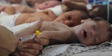 الأمم المتحدة تحذر من إبادة أطفال غزة.. وأوربا تتحرك لفرض عقوبات على إسرائيل - تكنو بلس