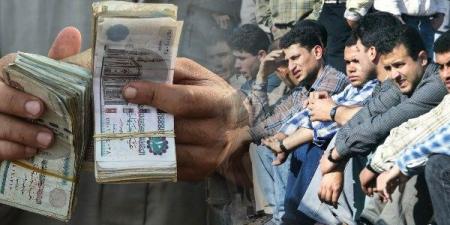 الاستعلام عن منحة العمالة غير المنتظمة 2025.. الرابط والخطوات - تكنو بلس