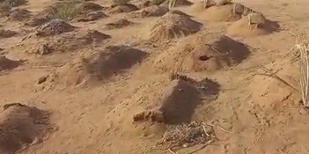 سقطوا ضحايا لـ ميليشيا «حميدتي».. اكتشاف مقبرة جماعية لـ 465 مواطنا سودانيا جنوب أم درمان - تكنو بلس