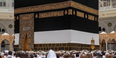 المنافذ الجمركية.. جهود مستمرة لاستقبال وخدمة ضيوف الرحمن - تكنو بلس