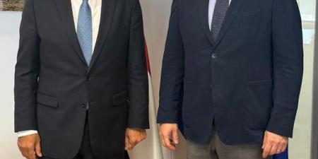وزير الخارجية: نتطلع تقديم مزيد من التسهيلات لنفاذ المنتجات المصرية إلى الأسواق الأوروبية - تكنو بلس