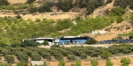 عجلون: مطالب برفع وعي المتنزهين بأهمية المحافظة على الأماكن الطبيعية والسياحية - تكنو بلس