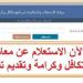 طريقة الاستعلام عن الأسماء الجدد في تكافل وكرامة شهر مايو 2025 - تكنو بلس