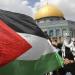 الدويري: مصر لن تقبل بتصفية القضية الفلسطينية أو التهجير - تكنو بلس