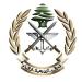 الجيش: توقيف 35 شخصً أطلقوا النار بعد صدور نتائج الانتخابات البلدية في الشمال وعكار - تكنو بلس