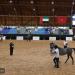 انطلاق فعاليات كأس الإمارات العالمي لجمال الخيل العربية - تكنو بلس