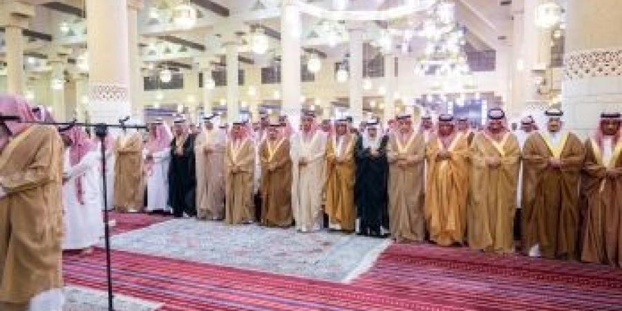 عسير.. ضبط 12 مخالفًا لتهريبهم 200 كيلو من نبات القات المخدر - تكنو بلس