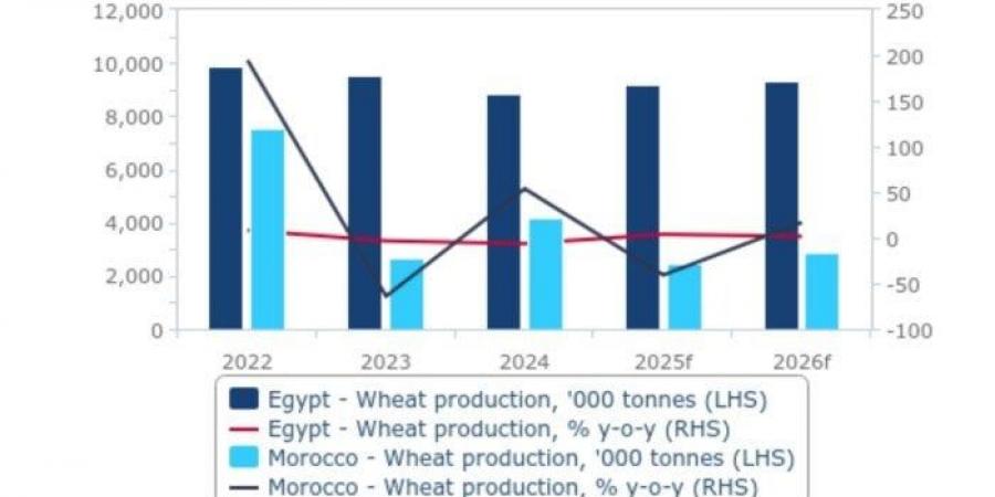 بنسبة 16.7%.. «فيتش سوليوشنز» تتوقع زيادة إنتاج القمح في مصر والمغرب 2026/2025 - تكنو بلس