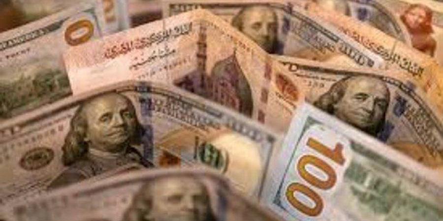 الجنيه مستقر.. سعر الدولار في مصر اليوم الأحد 4 مايو 2025 - تكنو بلس