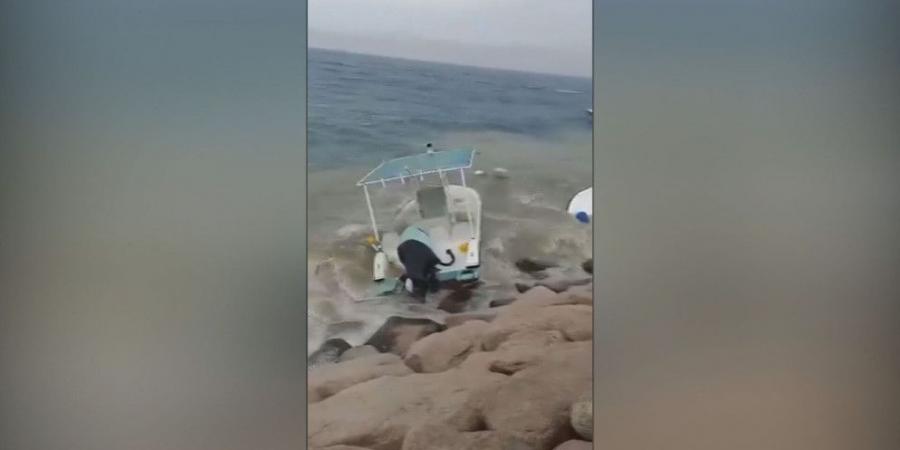 إجلاء 13 سائحا و2 من طواقم قارب متوسط الحجم جنح في خليج العقبة - تكنو بلس