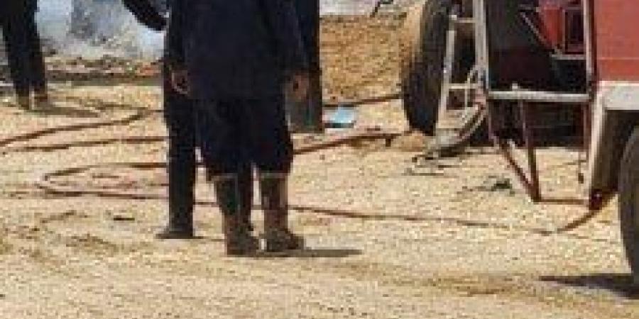 إنقاذ ٢٠٠٠ رأس ماشية من حريق بإحدى المزارع بمركز ومدينة أبو صوير - تكنو بلس