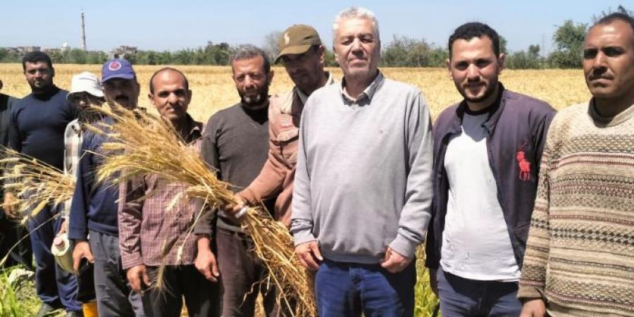 معهد بحوث الأراضي والمياه والبيئة يواصل دعم التنمية الزراعية - تكنو بلس