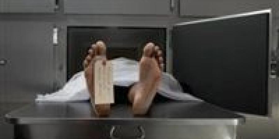 الأرض مثل العرض.. إنهاء حياة شخص علي يد جارة بسبب الأرض الزراعية بالمنيا - تكنو بلس