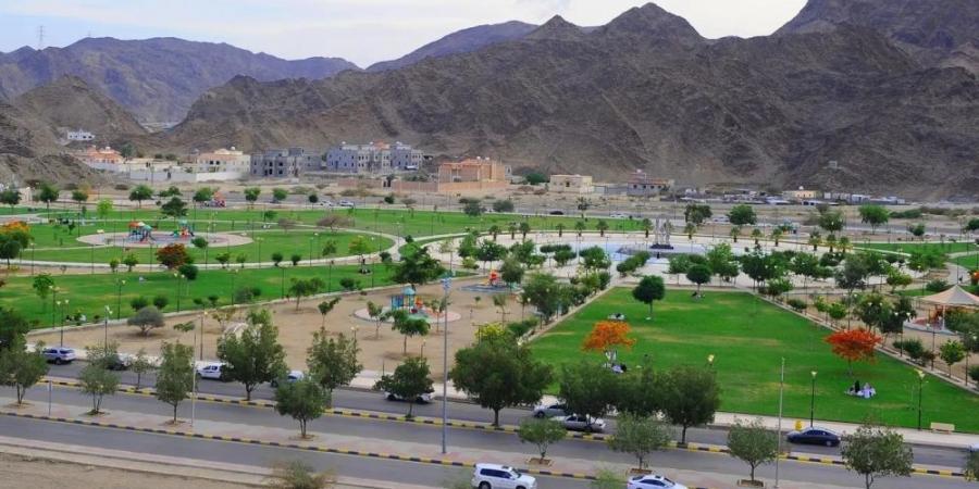 صور.. متنزه "الأمير جلوي" بنجران وجهة لقضاء أمتع الإجازات - تكنو بلس