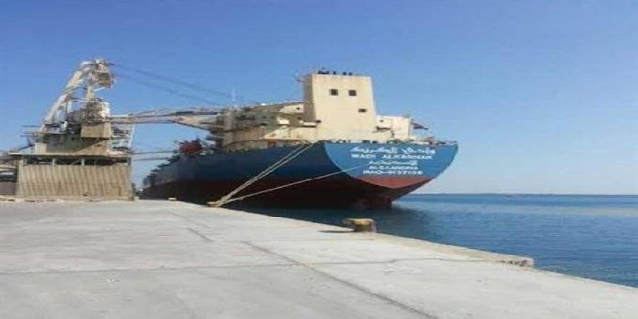 تداول 16 ألف طن و 976 شاحنة بضائع عامة ومتنوعة بموانئ البحر الأحمر - تكنو بلس