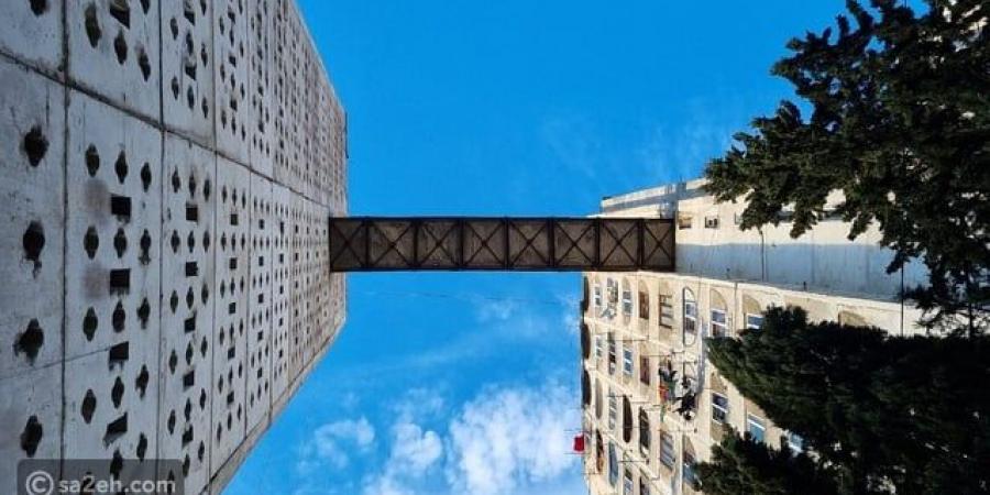 كيف تزور جسر نوتسوبيدزي الجوي: أيقونة العمارة في تبليسي - تكنو بلس