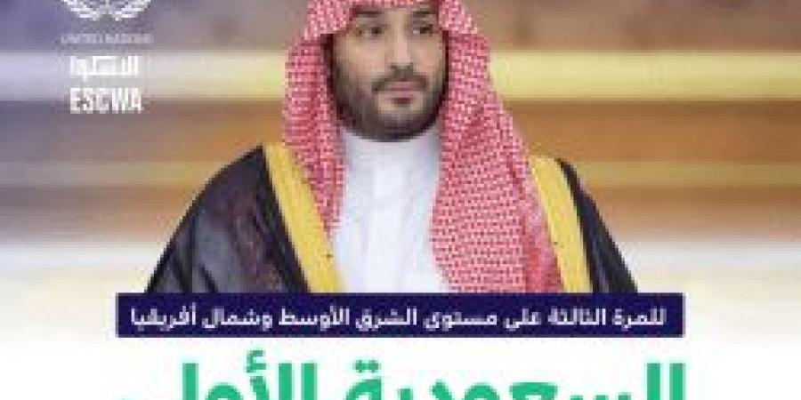 للمرة الثالثة .. السعودية تفوز بالمركز الأول في الخدمات الحكومية الإلكترونية بالشرق الأوسط وشمال أفريقيا 2024 - تكنو بلس