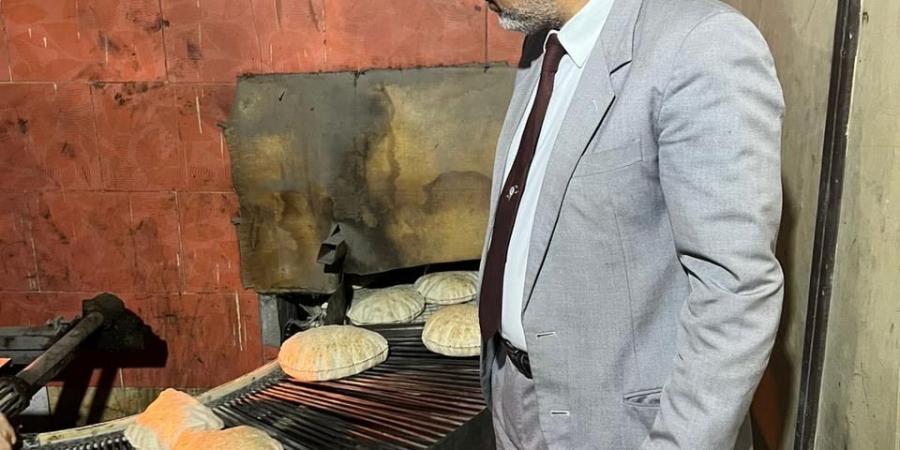 ضبط 4 طن لحوم مجمدة ومخللات وملح مجهولة المصدر بالدقهلية  - تكنو بلس