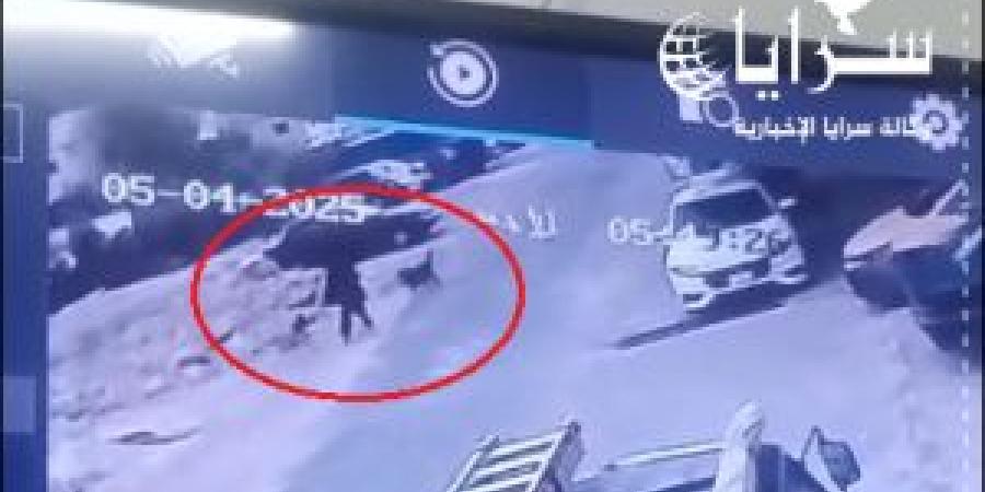 كلاب ضالة تهاجم سيدة في أحد شوارع عمّان - تكنو بلس