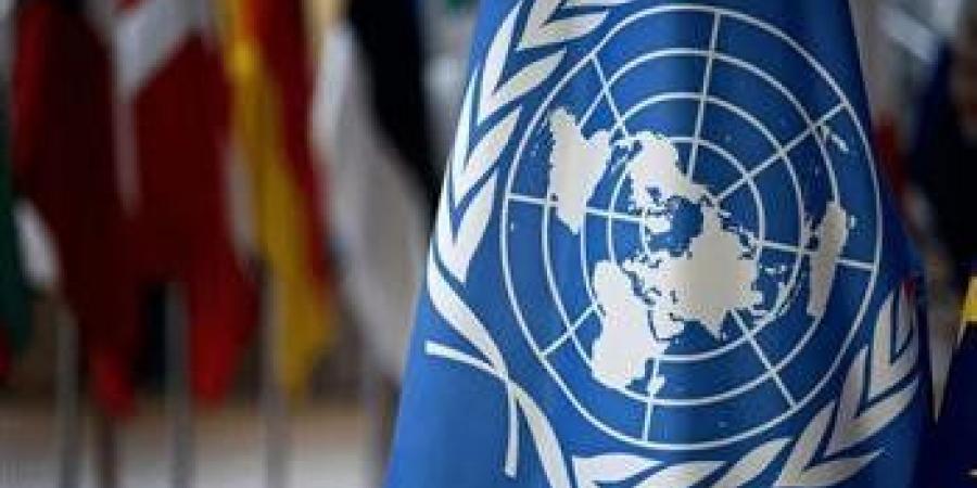 مسئولة أممية: العدد الدقيق للمفقودين فى سوريا ما زال غير معروف - تكنو بلس