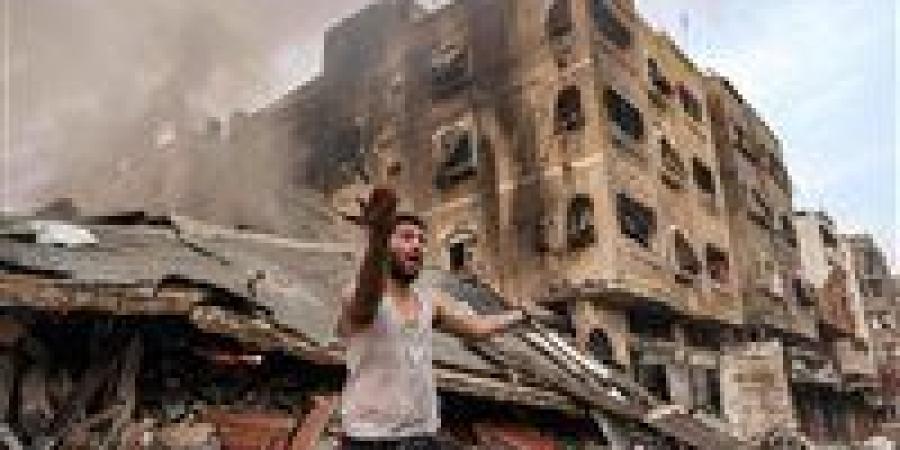 استاذ علوم سياسية: القضية الفلسطينية تم اختطافها لمصالح بعض الدول - تكنو بلس