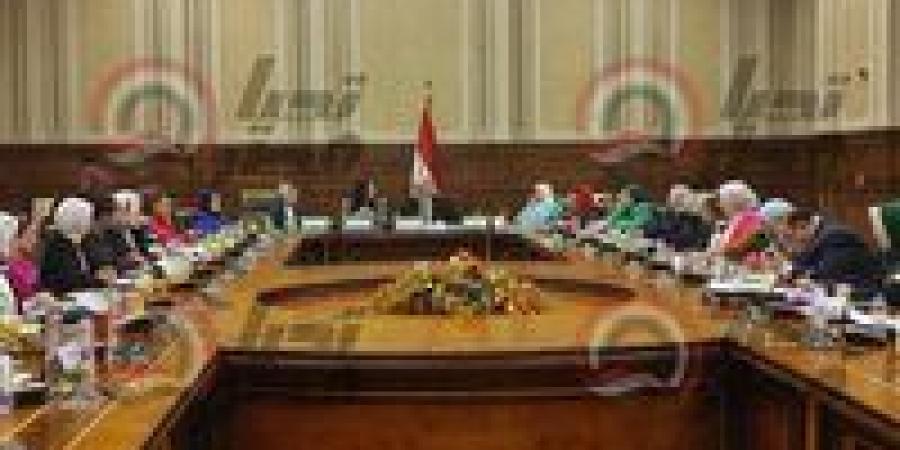 تضامن النواب توافق على موازنة المجلس القومي لذوي الإعاقة للعام المالي 2025/2026 - تكنو بلس