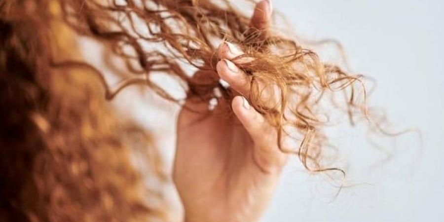 اختاري البروتين الطبيعي في المنزل، لشعر صحي وقوي - تكنو بلس