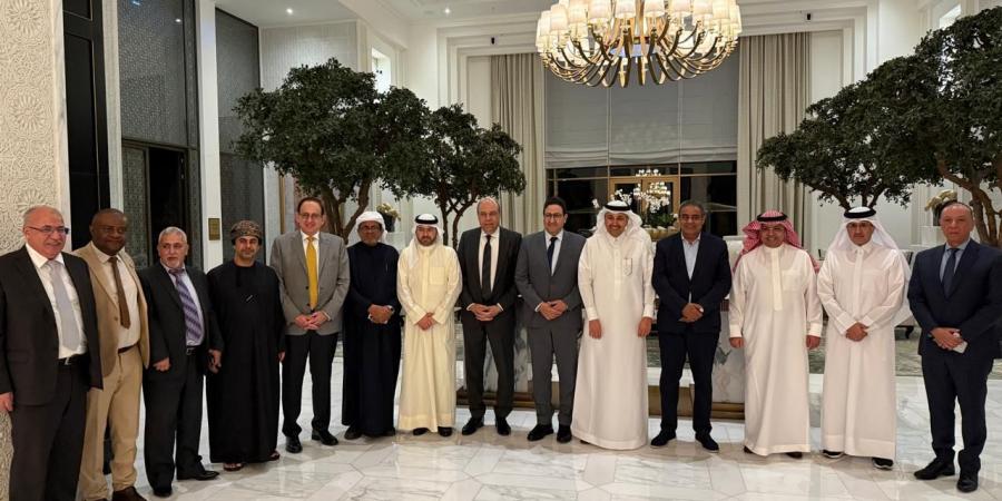 وزير الطيران يشارك بالدورة الـ72 للمجلس التنفيذي للمنظمة العربية للطيران - تكنو بلس