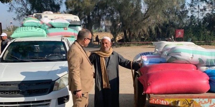 توريد 112 ألف طن قمح محلي بمراكز التوريد والتخزين بالدقهلية - تكنو بلس