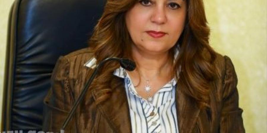 التنمية المحلية : ورشة عمل بالجيزة لتيسير إجراءات تراخيص المحلات - تكنو بلس