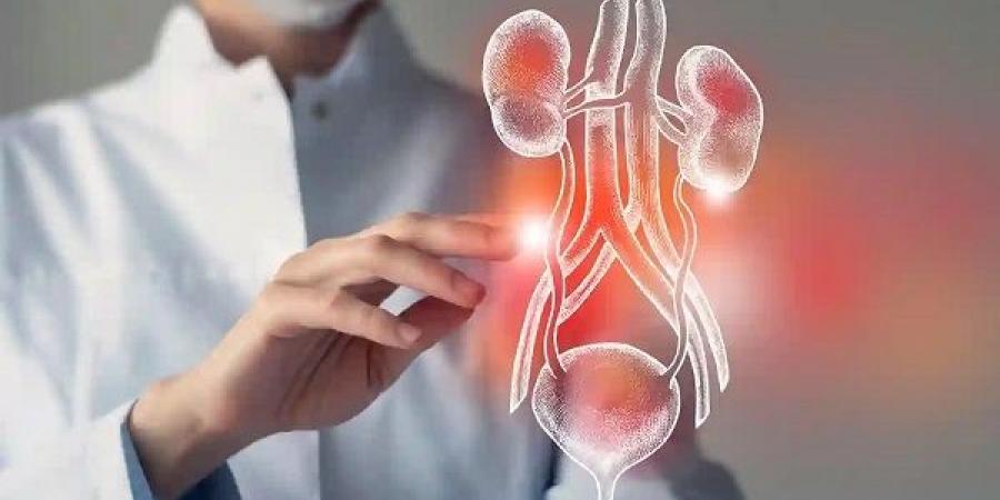 حرارة الصيف والتهابات المسالك البولية .. خطر يهدد النساء والأطفال - تكنو بلس