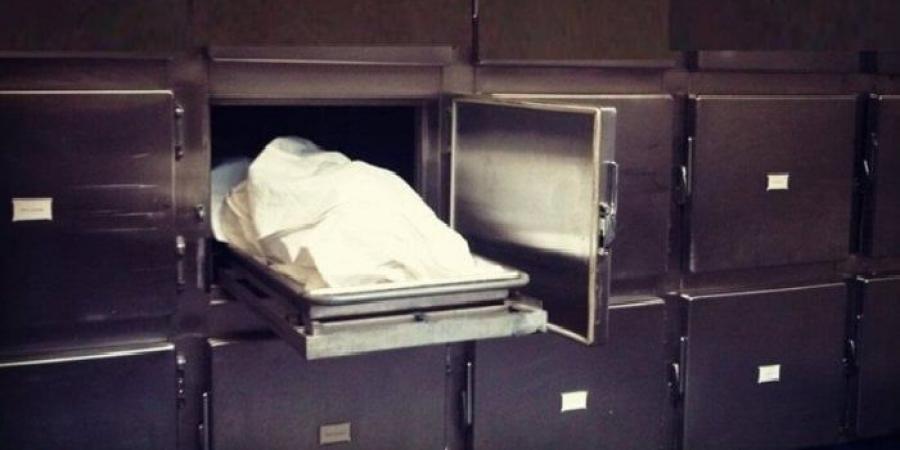«السر المدفون تحت السيراميك»… فتاة تكشف جريمة قتل والدها بعد 8 سنوات في محرم بك - تكنو بلس