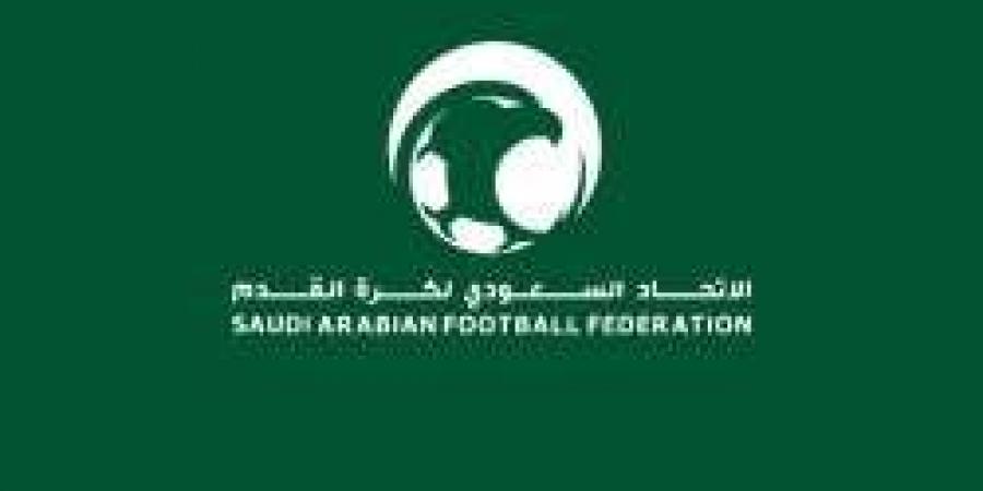 اتحاد الكرة يحدد 25 لاعبًا بالقائمة و8 لاعبين أجانب لأندية روشن - تكنو بلس