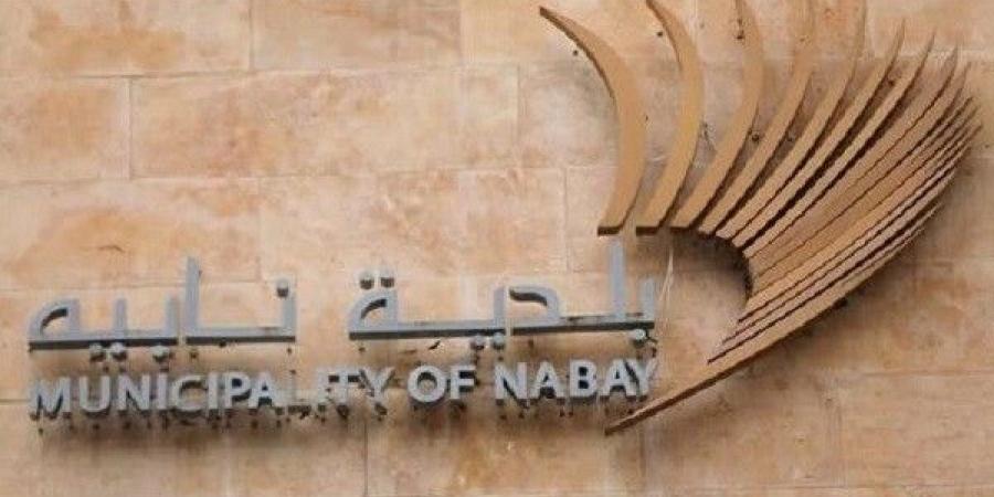 بشير ابي فاضل لـ"النشرة": خطأ مادي بلجان القيد في قصر العدل بالجديدة أدت لخسارتي بالانتخابات البلدية في نابيه وقدمت شكوى لشورى الدولة - تكنو بلس