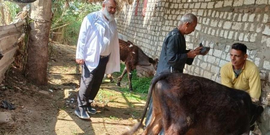 تنظيم 195 ندوة وحملة توعوية لمربي الماشية حول أهمية التحصين - تكنو بلس