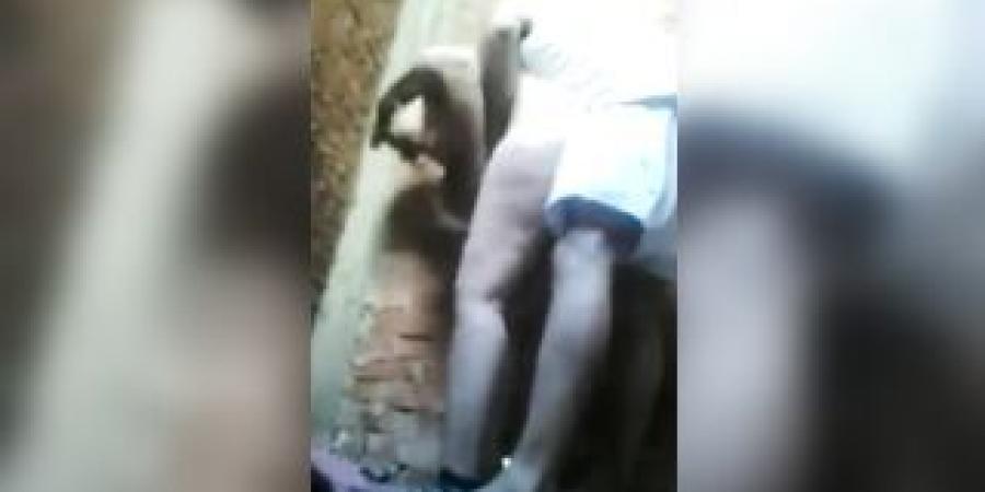 سكس مصري - نيك فلاحة مصرية بجسم وبزاز كبيرة ملبن مع زميلها فى الشغل – xnxx – xnxx egyptian - سكس عربى - سكس مصرى طويل - سكس مصرى بلدى - arab sex - سكس العرب - تكنو بلس