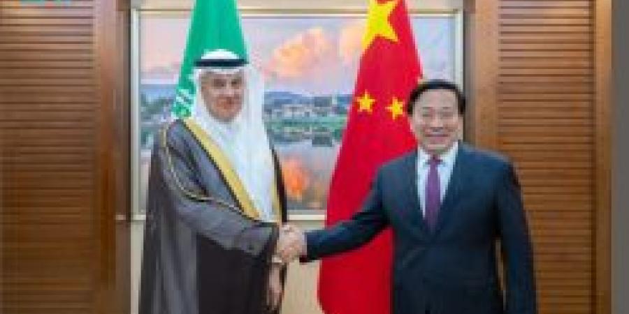 وزير "البيئة" يبحث آفاق التعاون المثمر في مجالات المياه والزراعة مع الصين - تكنو بلس
