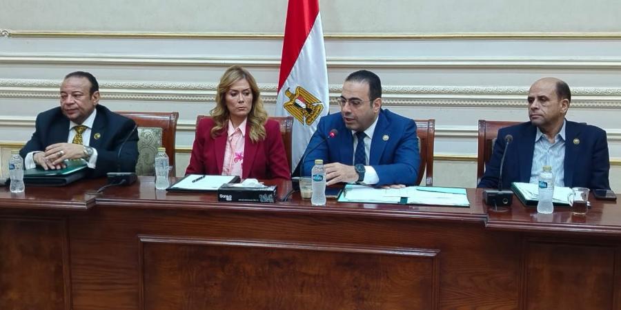 منارة لصقل المهارات ..شباب النواب توافق علي الموازنة الجديدة الأكاديمية الوطنية للتدريب - تكنو بلس