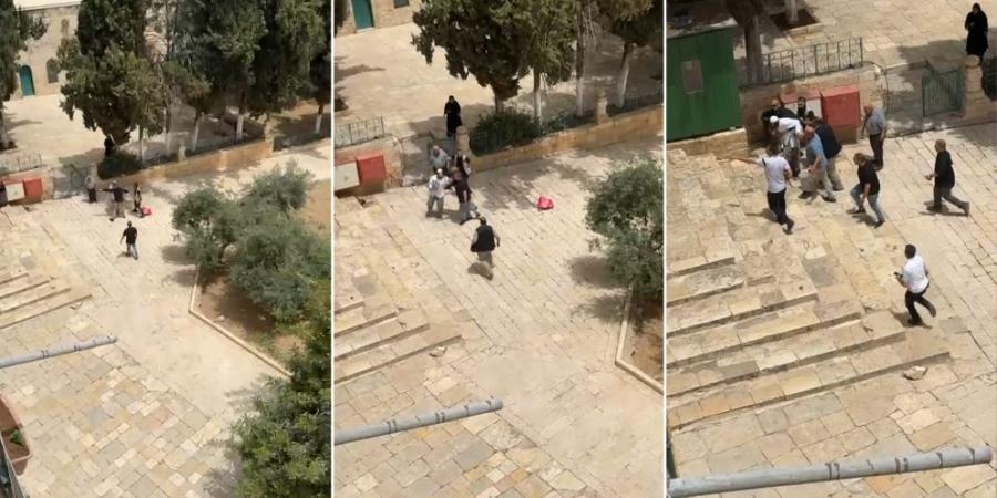 حراس المسجد الأقصى يمنعون مستوطنين من تهريب خروف لذبحه في ساحات المسجد - تكنو بلس