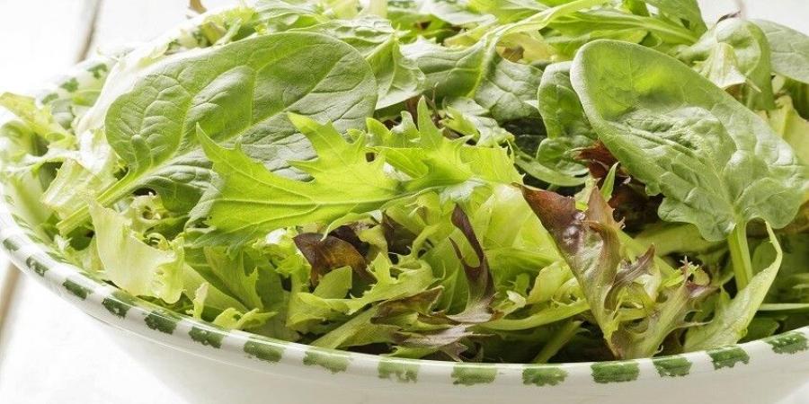 الخضار الورقية الأكثر فائدة لكبار السن - تكنو بلس